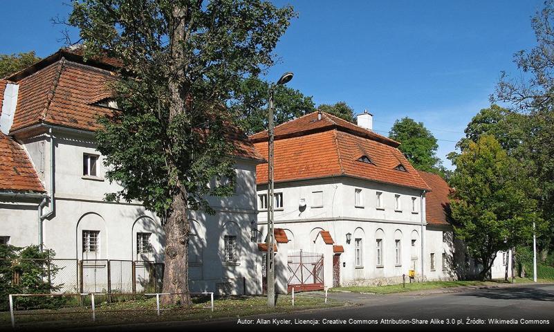 Pałac w Rusinowej