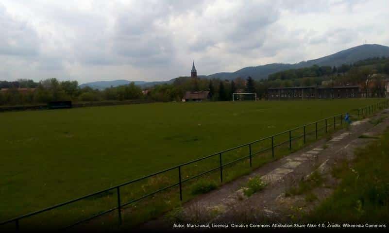 Stadion Stare Zagłębie